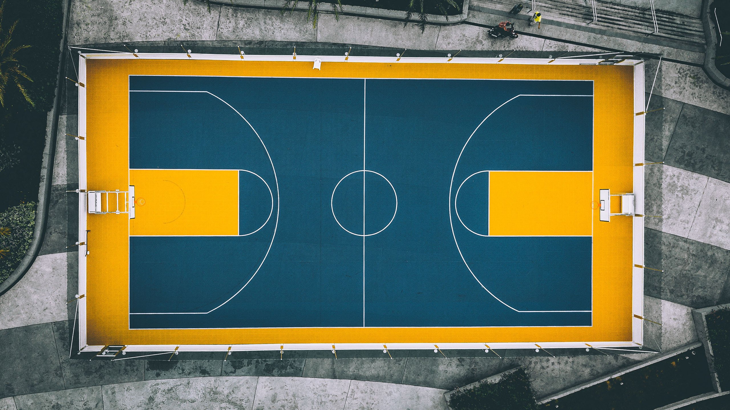 爱游戏部门-三大联赛风云录，国王沉沦、里尔高歌、宏远蓄势